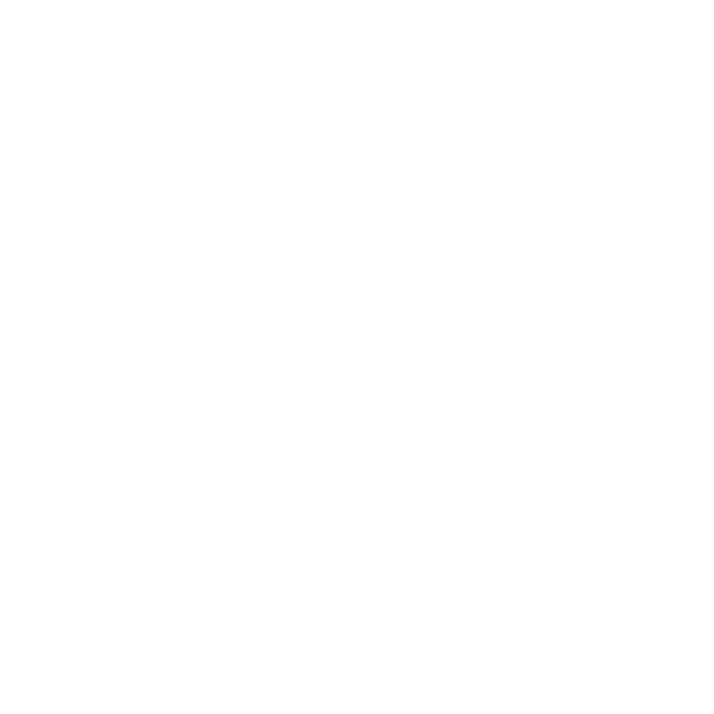 Logo de svsecure